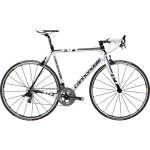 CannondaleEvoRed.png