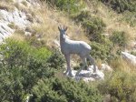 IMG_4208.jpg