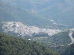 IMG_4218.jpg