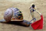 torero_y_caracol.jpg