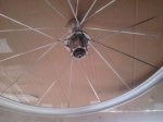 2011-10-11 13.58.53.jpg