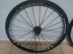 2011 Verano 088.jpg