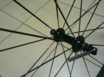 2011 Verano 090.jpg