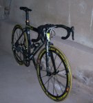 Goka 002.jpg