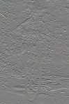 DSCN0368.JPG