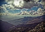 IMG_0380 special xexu.jpg