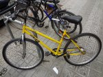 DSC01561.JPG
