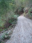 DSC09517.JPG