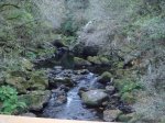 DSC09512.JPG