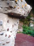 DSC09522.JPG