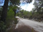 la 2&#170;  Biar-santa Aurelia-Sax 003.jpg