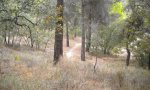 DSCN3430.JPG