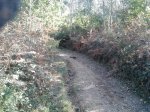 2011-10-23 13.01.27_800x600.jpg