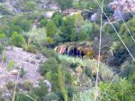 23102011663R.JPG