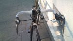 DSC00666.jpg