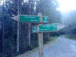 DSC05138.JPG