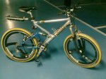 Bici Grysley.jpg