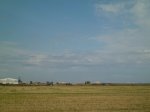 CIMG0654.JPG