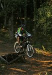 _MG_7347.jpg