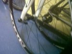 IMG00372-20111024-1120.jpg