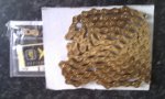 IMAG0361.jpg