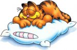 dormir6.jpg