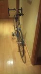 DSC00111.JPG