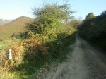 Foto3374E001.jpg