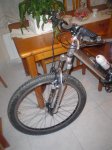DSC06537.JPG