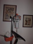 PICT0368.jpg