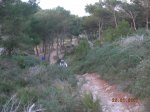 MIRADOR ROLDAN CON PIÃA AL REGRESO 011.jpg
