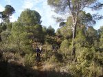 xRUTA ENDURO EN AYNA  21-ENERO-2007 015.jpg