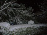 P0000006_redimensionar.jpg