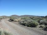 IMG_4010_900.jpg