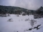 P0000010_redimensionar.JPG