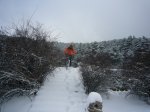 P0000016_redimensionar.JPG