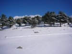 P0000034_redimensionar.JPG