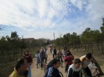 IMG_2082.jpg