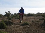 IMG_2116.jpg