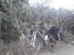 100_1728.JPG