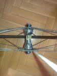 IMAG0138.jpg
