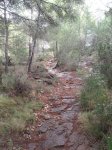 DSCF2678.JPG