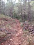 DSCF2679.JPG
