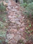 DSCF2694.JPG
