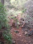 DSCF2714.JPG