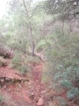 DSCF2697.JPG