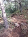 DSCF2701.JPG