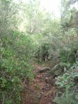 DSCF2703.JPG