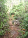 DSCF2704.JPG