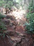 DSCF2705.JPG